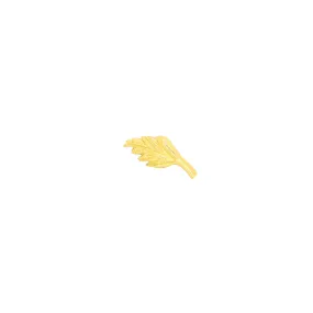 Elm Leaf