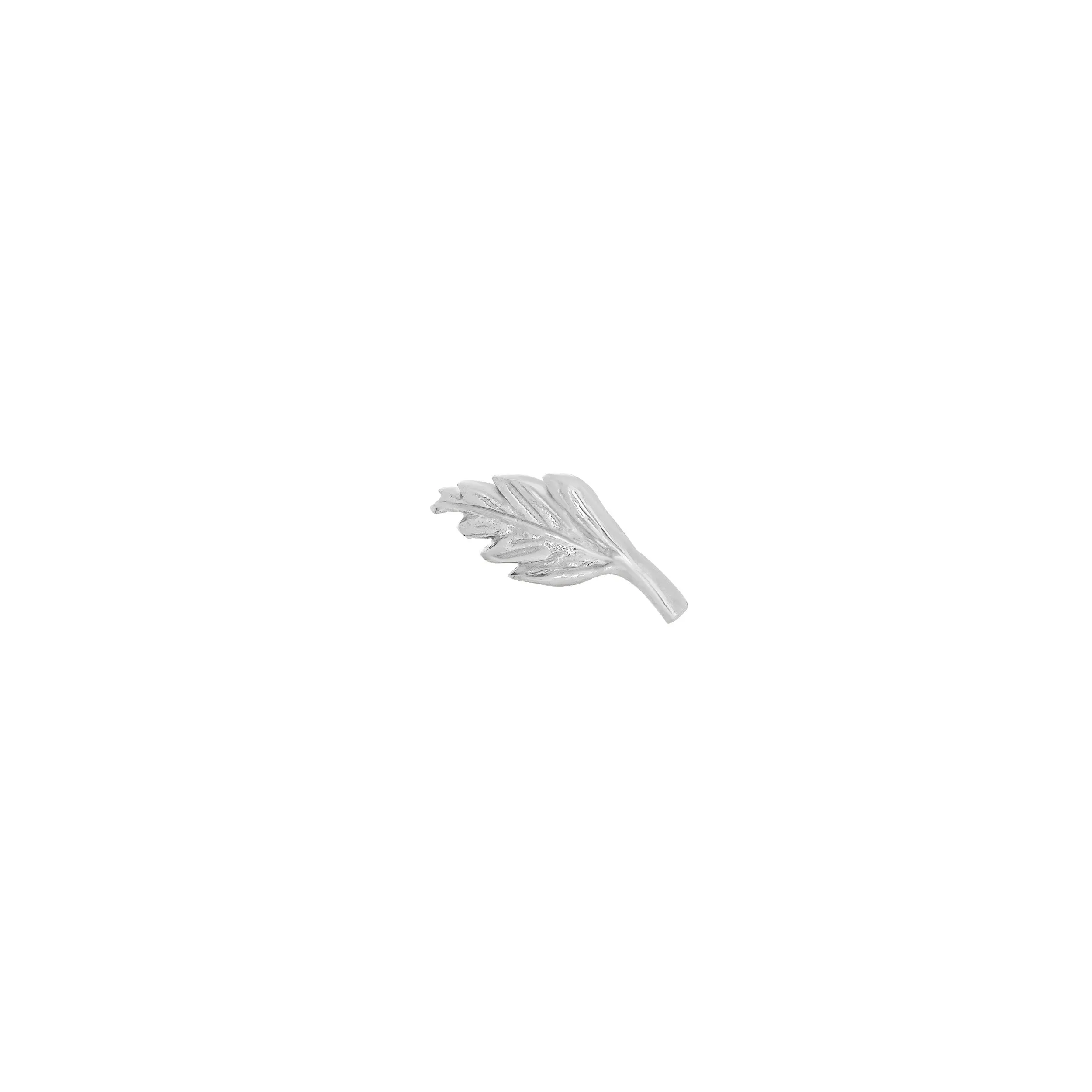 Elm Leaf