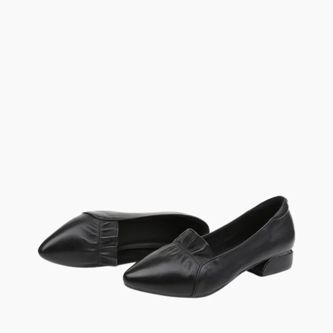 Pointed-Toe, Slip-On : Court Shoes for Women